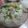 Cooksnap dari Yonita Cahya untuk resep Bakso babi rebus v.3