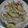 Susmita Debnath's cooksnap of when they made স্যালাড(salad recipe in bengali).