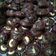 Cooksnap dari Putri Penny Handayani untuk resep Brownies Kering Mini