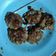 Cooksnap dari Delaneira Paiman untuk resep Steak tempe diet sehat 100%