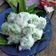 Cooksnap dari Yuyun Heriyantie untuk resep Klepon