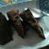 Cooksnap dari Fika_iw untuk resep Brownies Panggang