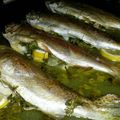 Zsolt Tavaszi Cooksnap-ja, amikor elkészítette a(z) Pisztráng receptet.