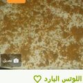 صورة من أم حاتم "، شاركها بعد تجربة وصفة حلى الكريم كراميل بالشوكلاته