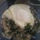 Cooksnap dari Effie Muca untuk resep Bubur Bayam Oatmeal (aka. Savory Oatmeal)