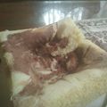 Cooksnap dari Fitria Amalia untuk resep Bolu Tepung Beras