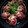 El cooksnap de Zaida TC @alquimiasfood cuando hizo Huevos rellenos de espinacas y setas.