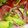 Waweru Karungari's cooksnap of when they made Honey Lime Avocado Salad.