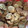 Cooksnap dari Widya Ningsih Pasaribu untuk resep Choco chip cookies with palm sugar