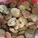 Cooksnap dari Widya Ningsih Pasaribu untuk resep Choco chip cookies with palm sugar