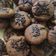 Cooksnap dari ira maharani untuk resep Chocolate Cookies Teflon No Telur No Mixer