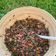 Cooksnap de Au Rèl sur la recette Salade tiède de lentilles