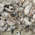El cooksnap de astrid badia cuando hizo Solomillo de cerdo con champiñones a la pimienta.