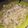 El cooksnap de Vᥲᥣᥱᥒtιᥒᥲ cuando hizo Salsa de pollo con mostachol.