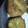 El cooksnap de CaroyDiego Martínez Martínez cuando hizo Zapallitos en milaneza.