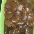 Cooksnap dari Ita Nalurita untuk resep Kolang Kaling Gula Aren