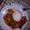 El cooksnap de MARIADELMARROSA82 cuando hizo Pollo al ajillo con tomate, curry y vino blanco.