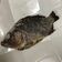 李小蛇 的 鹽烤魚 cooksnap