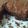 Cooksnap από Athina στη συνταγή Τα τέλεια brownies