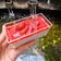 Cooksnap dari tikaphiko untuk resep Strawberry Panna Cotta (Tanpa Gelatin)