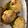El cooksnap de Martin cuando hizo Calabacín (zapallitos) rellenos.