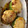 El cooksnap de Martin cuando hizo Calabacín (zapallitos) rellenos.