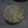 Cooksnap dari Vhita untuk resep 87.Bihun Isian Risol/Pastel