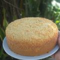 Cooksnap dari Ika Septi untuk resep Brudel Manado