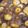 El cooksnap de emobe cuando hizo Patatas con setas shiitake.