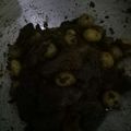 Cooksnap dari ade herawati untuk resep Rendang Asli Padang