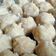 Cooksnap dari issabellaaaaa untuk resep Bakso Ayam Blender
