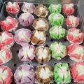 Cooksnap dari Bu Erte untuk resep Bolu Kukus Mekar Coklat Pandan