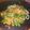 Cooksnap dari sofi ana untuk resep Urap Sayur (versi tumis) lebih gurih dan tahan basi