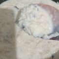 El cooksnap de Isabel Gonzales cuando hizo Arroz con Leche.