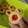 Cooksnap dari Syifa Li untuk resep Strawberry Thumbprint Cookies