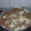El cooksnap de Nicole Barrio cuando hizo Pastel de arroz tostado con carne molida, cebolla y queso.