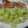 El cooksnap de Hilda Lucero Garcia Segura cuando hizo Chayote al vapor y mantequilla.
