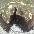 Cooksnap dari Novie Ipeh Diyah untuk resep Chocolate Lava Cake