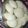 charita garg's cooksnap of when they made Coconut and suji instant idli.