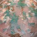 El cooksnap de Adrieli OL Di cuando hizo Sopa de fideo con espinacas.