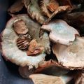 El cooksnap de Valeria Rodriguez Saravia cuando hizo Hongos en escabeche.