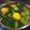 Cooksnap dari Rosewita Itha untuk resep Sayur Bening Bayam |masakan rumahan