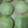 Cooksnap dari Siti Chusnah untuk resep Pao Pandan Lembut