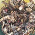 Cooksnap dari Lina Andriani untuk resep Cue tongkol suwir paling simple!