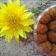 Cooksnap dari Diyah Rahmawati untuk resep Palm Cheese Cookies