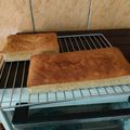 Cooksnap dari sri wahyanti untuk resep Bolu Pisang Panggang