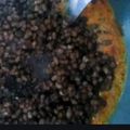Nupur Prajapati's cooksnap of when they made આખા અડદ નું શાક (Akha Urad Shak Recipe In Gujarati).