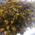 Aparna Nilesh's cooksnap of when they made चटपटीत आंबट गोड तिखट कारलं (chatapati ambat god tikhat karala recipe in marathi).