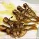 Cooksnap dari Maria K. untuk resep Ikan selar goreng