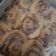 Cooksnap dari eNZet Homemade Kitchen untuk resep Cinnamon Roll (24 pcs)